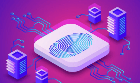 The Role of Blockchain in Digital Identity