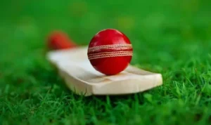How Every Ball Becomes Data During a Live Cricket Match