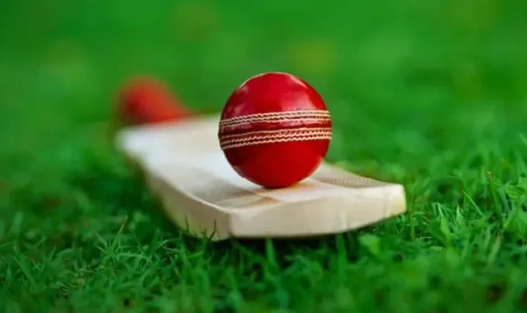 How Every Ball Becomes Data During a Live Cricket Match
